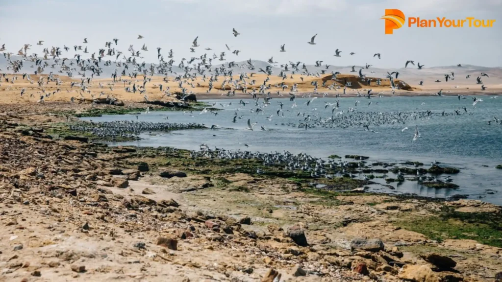 Kheechan Natural Bird Sanctuary