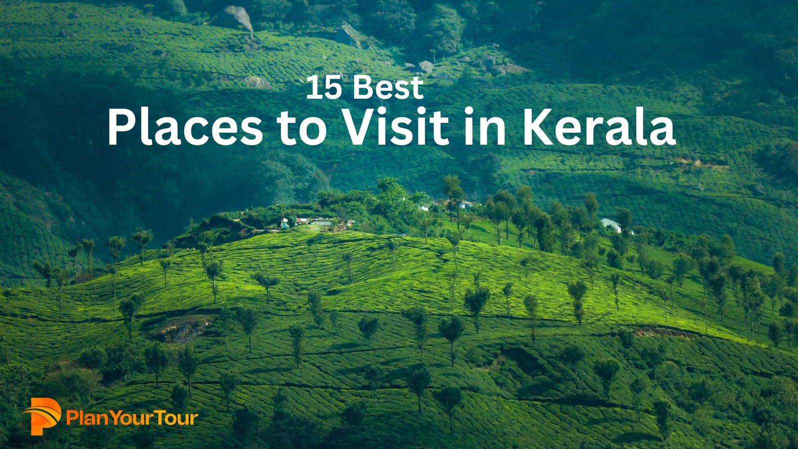 15 Best Places to Visit in Kerala Famous Tourist Places in Kerala