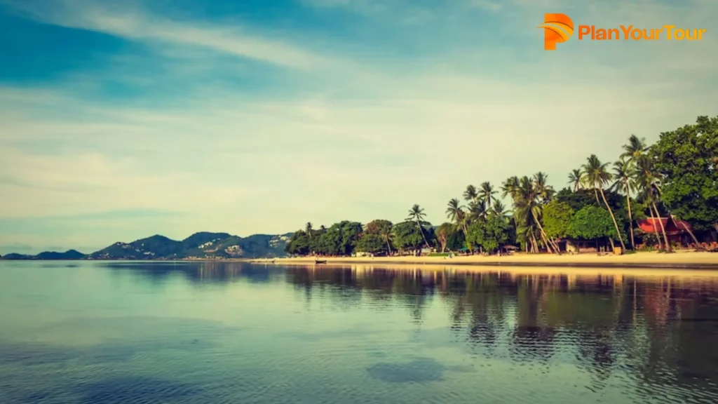 a body of water with trees and a beach
: Thekkady Kerala