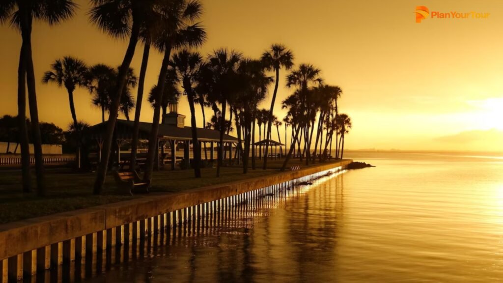 a body of water with palm trees and a building : Alleppey, Kerala
