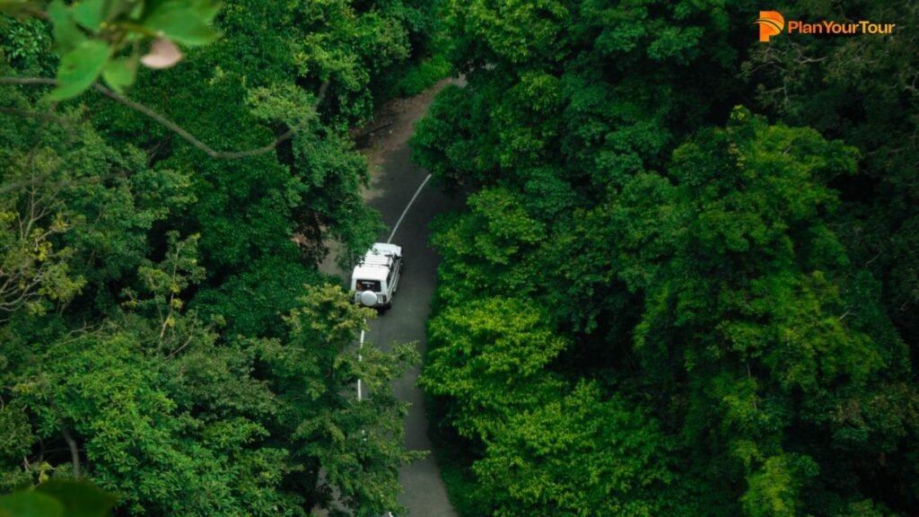 a white van driving through a forest
: Nelliyampathy , Kerala