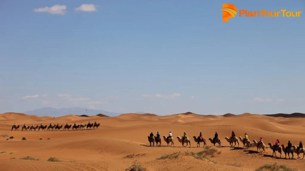  A group of individuals riding camels across a  desert landscape under a clear blue sky at Sam Sand Dunes, Jaisalmer 