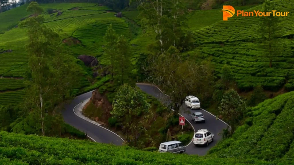 #2. Kannan Devan Hills Plantation, Munnar - Tea plantation in Kerala