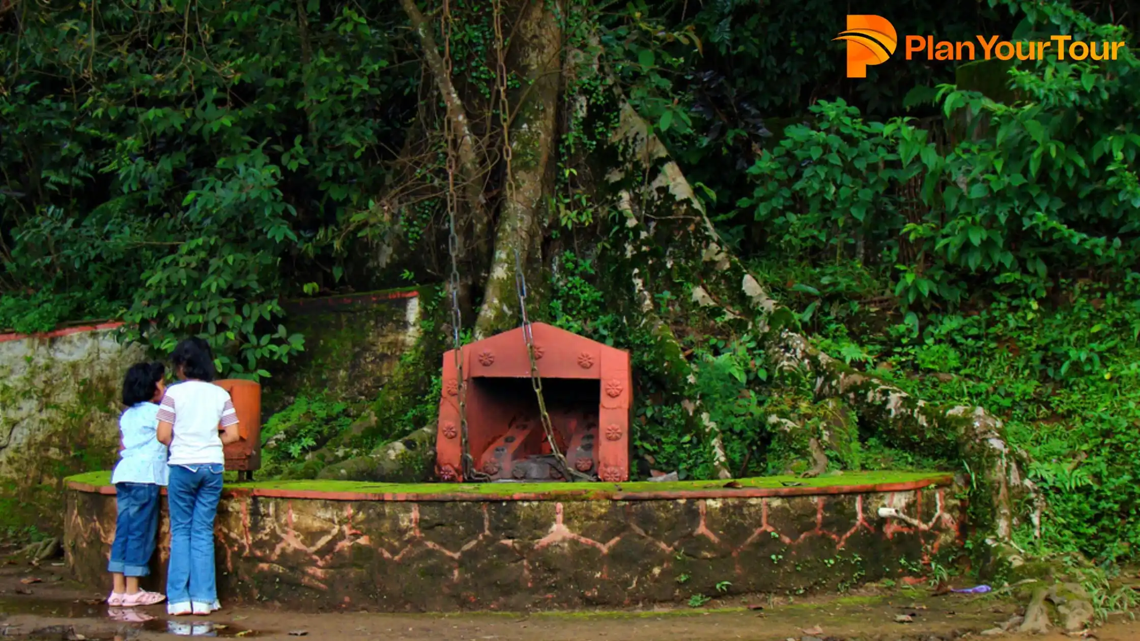 Two people stand near a small, red-bricked shrine under the sprawling branches of the Chain Tree in Wayanad, surrounded by lush greenery.