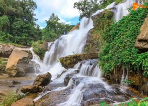 Soochipara Falls, Wayanad: Timings, Entry Fee & How to Reach