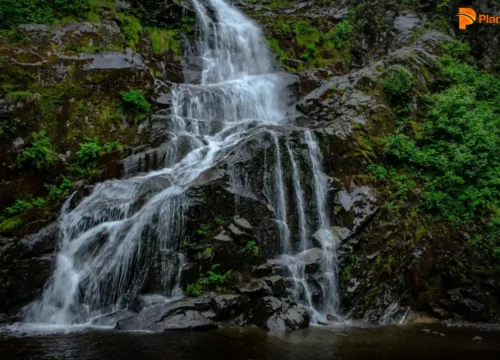 Waterfalls in Munnar ( List of Top 8 Waterfalls )