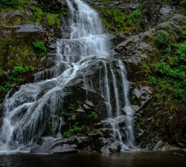 Waterfalls in Munnar List of Top 8 Waterfalls PlanYourTour