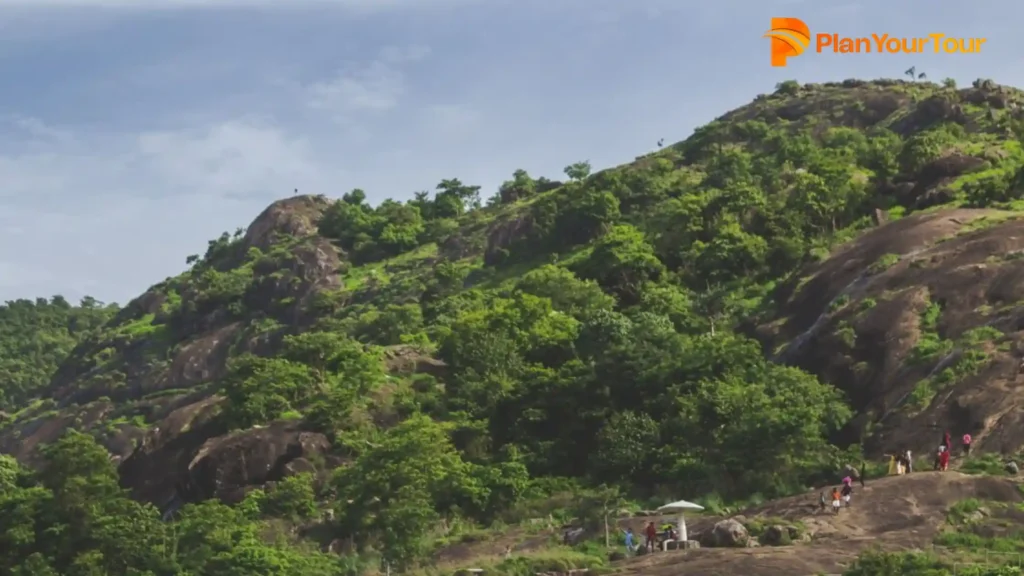 a hill with trees and rocks around Anamudi Peak
