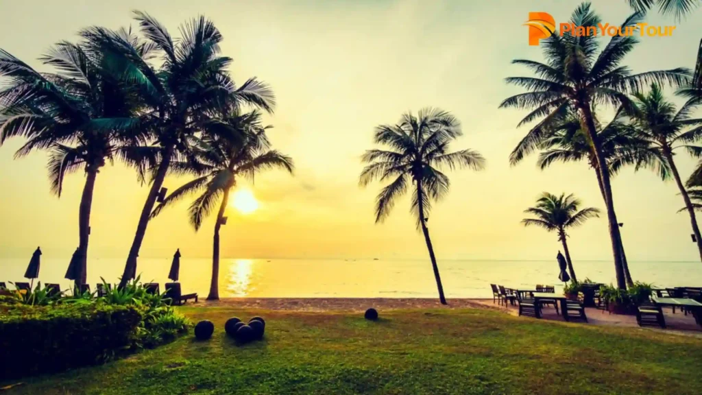 a beach with palm trees and chairs and a sunset at Edava beach ,popular destination to visit in Varkala
