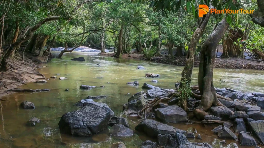 a river with rocks and trees of Kuruva Island, place to visit in Wayanad

