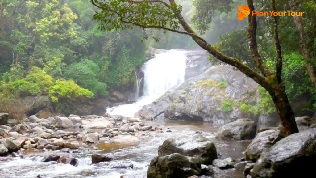 a Lakkam waterfall in a forest
