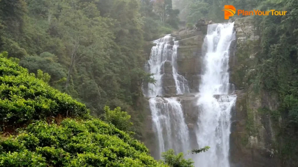 a Nyayamakad waterfall in the forest and see around the cool climate
