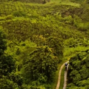 Places to visit in Wayanad Famous Tourist Attraction of Wayanad