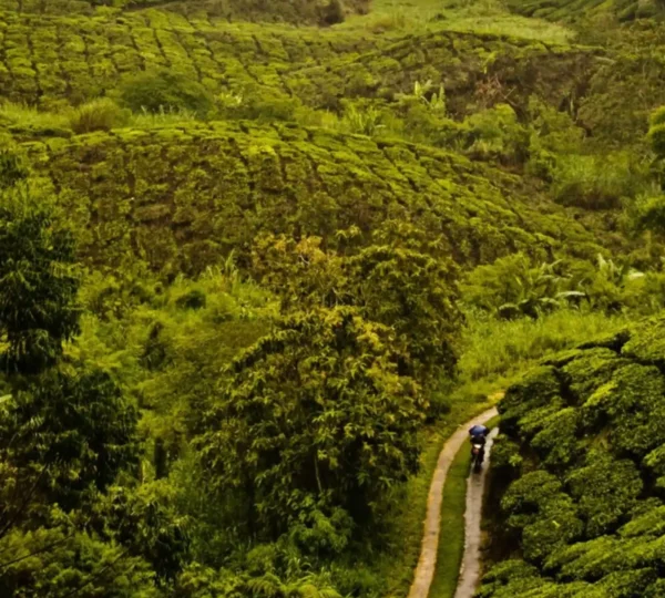 Places to visit in Wayanad Famous Tourist Attraction of Wayanad