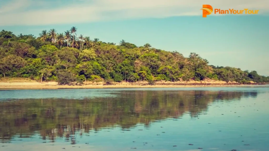 a body of water with trees and a blue sky of Ponnumthuruthu Island which is worth place to visit in Varkala
