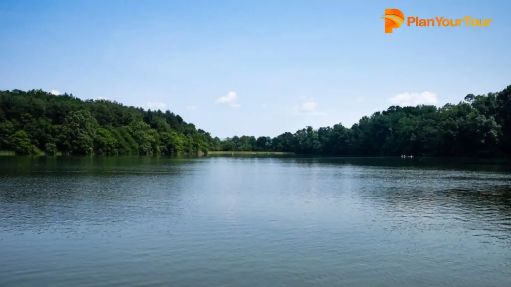 a body of water with trees around it at Pookot Lake, worth-visiting place in Wayanad
