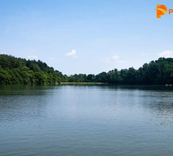 A small boat with people drifts peacefully on Pookode Lake, surrounded by dense greenery and distant structures under a cloudy sky.