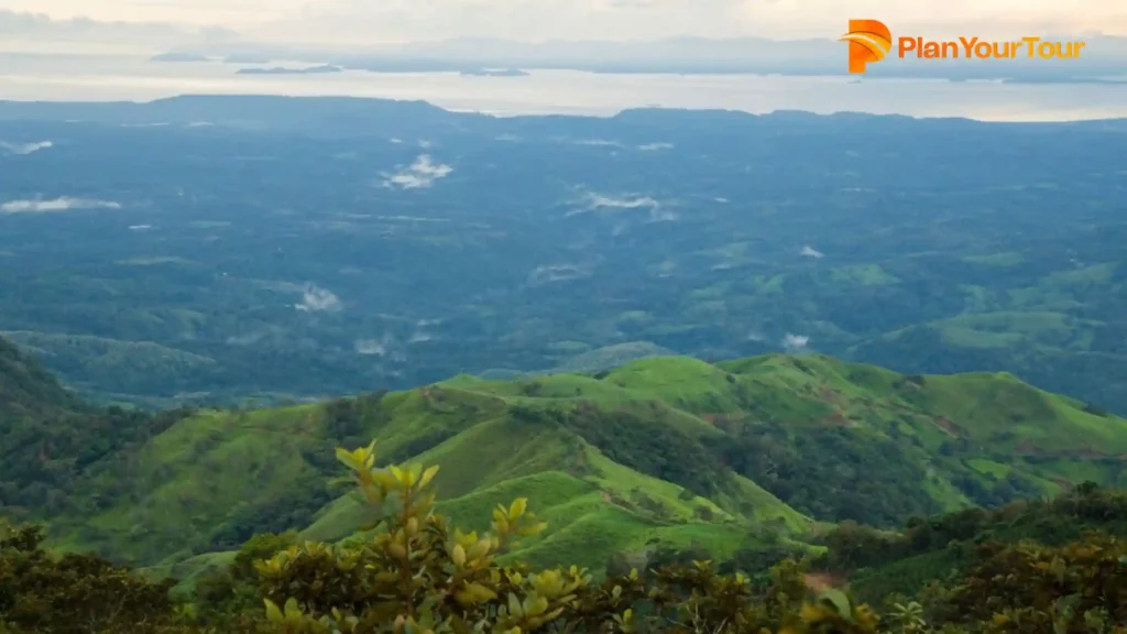 a green hills with trees and water in the background of Pothamedu Viewpoint
