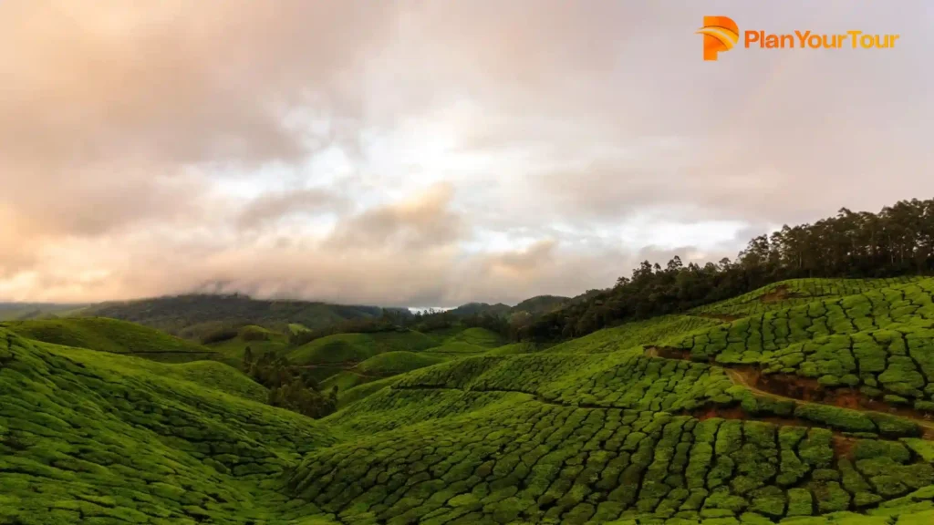 a green hills with trees and clouds of Top Station
