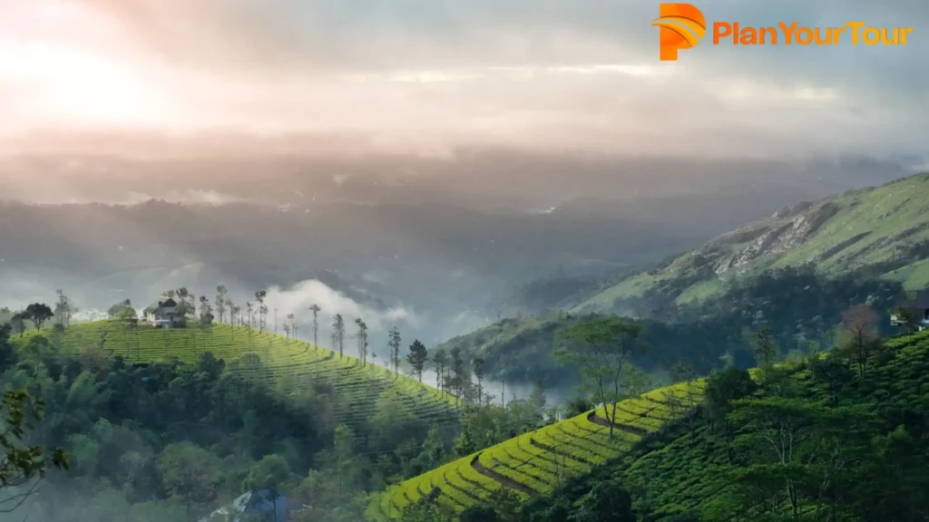 Idukki: beautiful places in Kerala for one day trip