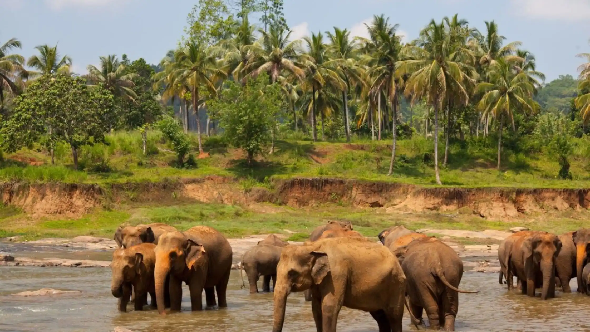 National Parks in Kerala