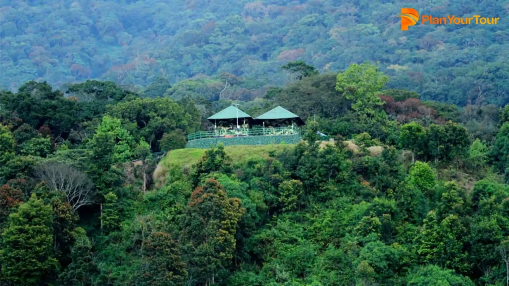 Pampadum Shola National Park