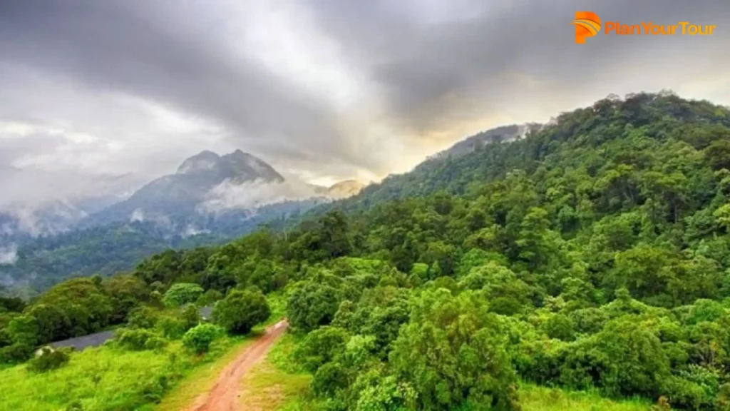 Silent Valley National Park