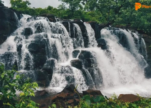 Waterfalls in Wayanad | Natural Attraction of Wayanad