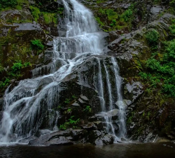 The mesmerizing Abbi Falls cascades over dark rocks, enveloped by lush green vegetation, creating a serene and picturesque scene.