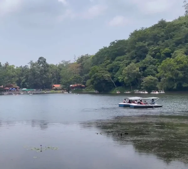 A small boat with people drifts on the calm waters of Pookode Lake, surrounded by lush green trees beneath a partly cloudy sky.