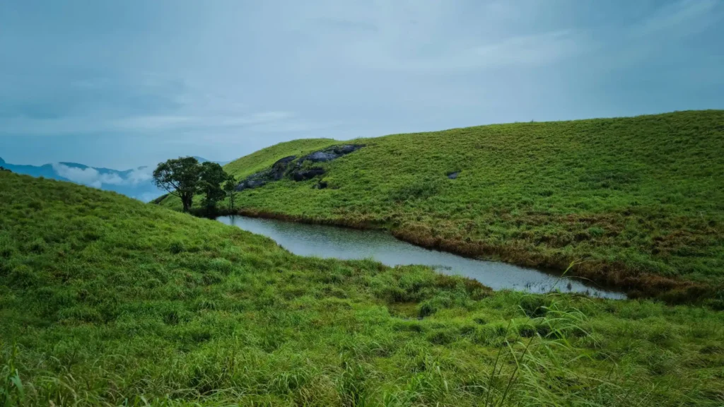 A small tranquil pond surrounded by lush green hills under a cloudy sky of chembra peak, Wayanad