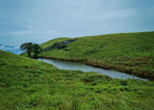 7 Best Places For Trekking in Wayanad: Choose Your Favourite