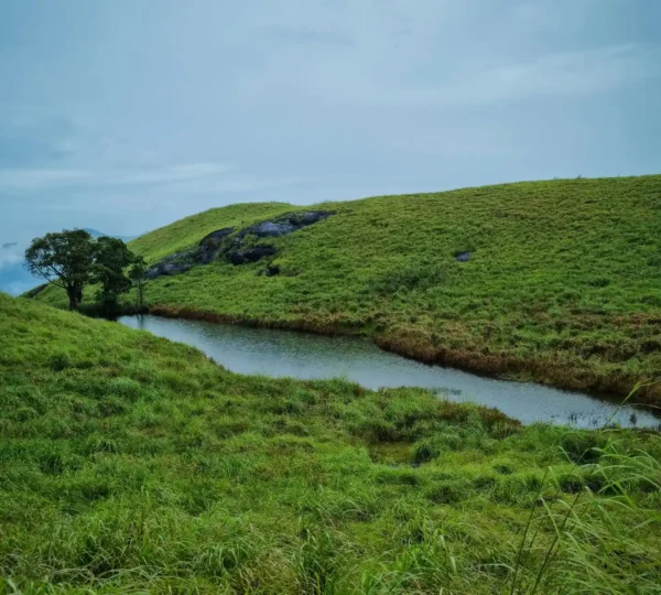 A small tranquil pond surrounded by lush green hills under a cloudy sky of chembra peak, Wayanad