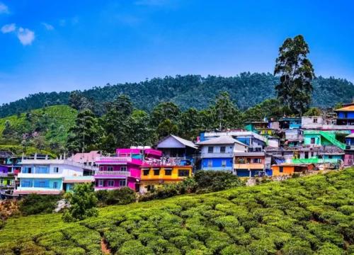 Golden 4 Days Munnar Tour