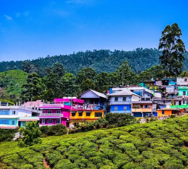 Discover the vibrant hillside village alive with colorful houses nestled in front of lush green tea plantations. Set against forested hills and a clear blue sky, this idyllic scene is a highlight of your 4 Days Munnar Tour.