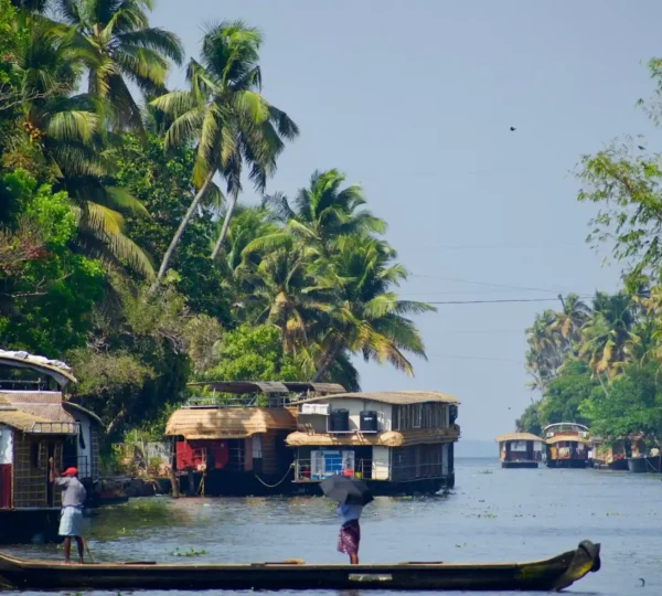 Scenic view of a river in Alleppey with traditional houseboats and a small boat in the foreground. Lush green palm trees line the banks under a clear sky. Two people are on the small boat, navigating the calm waters.