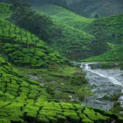 Lush green tea plantations cover rolling hills, interspersed with a small waterfall flowing through the landscape. A misty atmosphere envelops the scene on this 9 Days Munnar Tour, enhancing the vibrant greenery and serene environment.