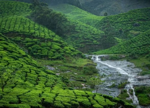 9 Days Golden Munnar Tour Package