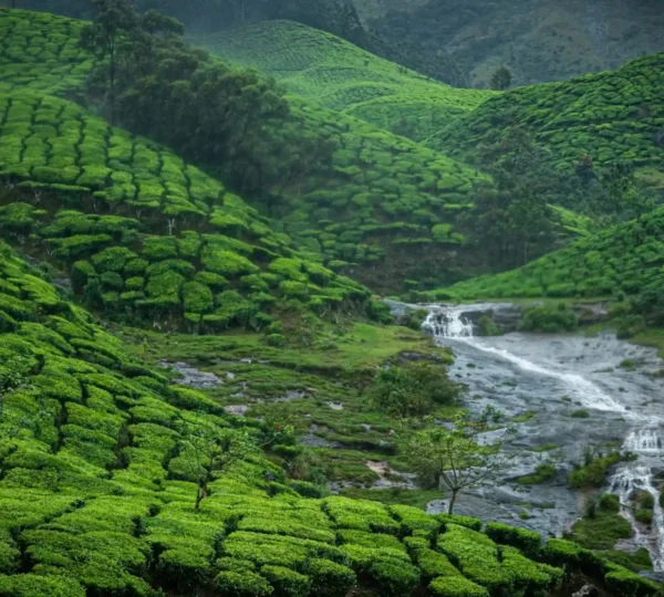 Lush green tea plantations cover rolling hills, interspersed with a small waterfall flowing through the landscape. A misty atmosphere envelops the scene on this 9 Days Munnar Tour, enhancing the vibrant greenery and serene environment.