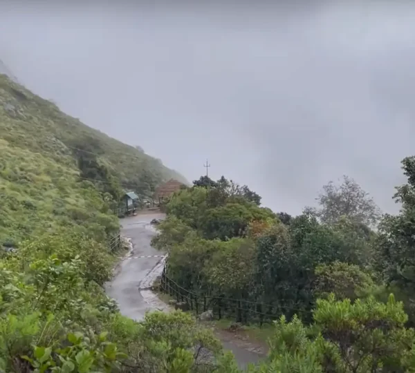 A winding road curves through the misty, lush landscape of Eravikulam National Park in Munnar, dense foliage flanking both sides. Overcast skies cast a soft, diffused light over the scene, creating a serene and tranquil atmosphere.