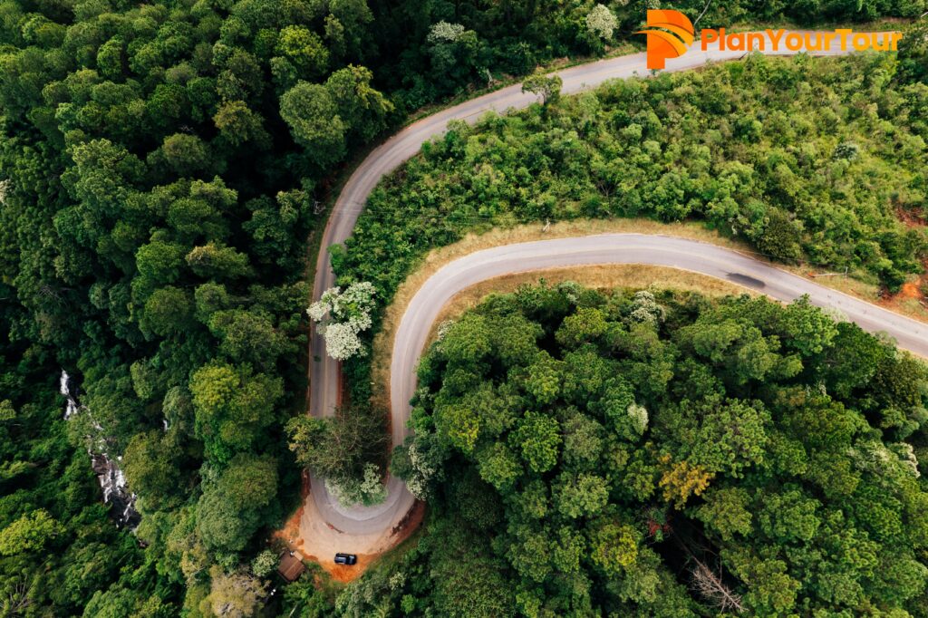 Lockhart Gap scenic winding road surrounded by lush green hills in Munnar