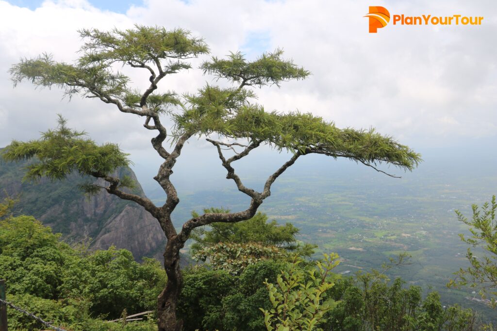 Marayoor Viewpoint with scenic mountain and valley views in Munnar