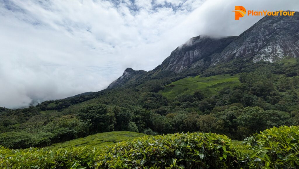 Munnar Hill Station photos with scenic tea plantations and mountain views