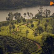Top attractions in Munnar with scenic tea plantations and lake views