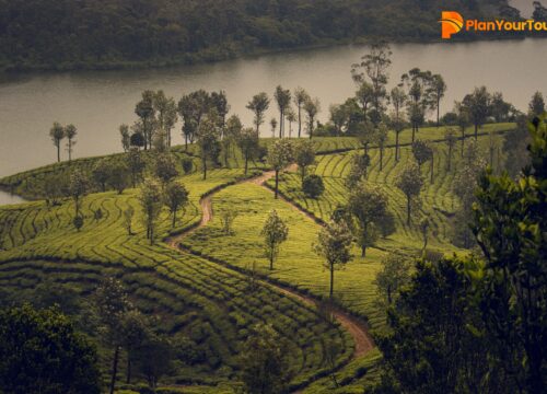 Things to Do in Munnar: Top Attractions & Activities in Munnar