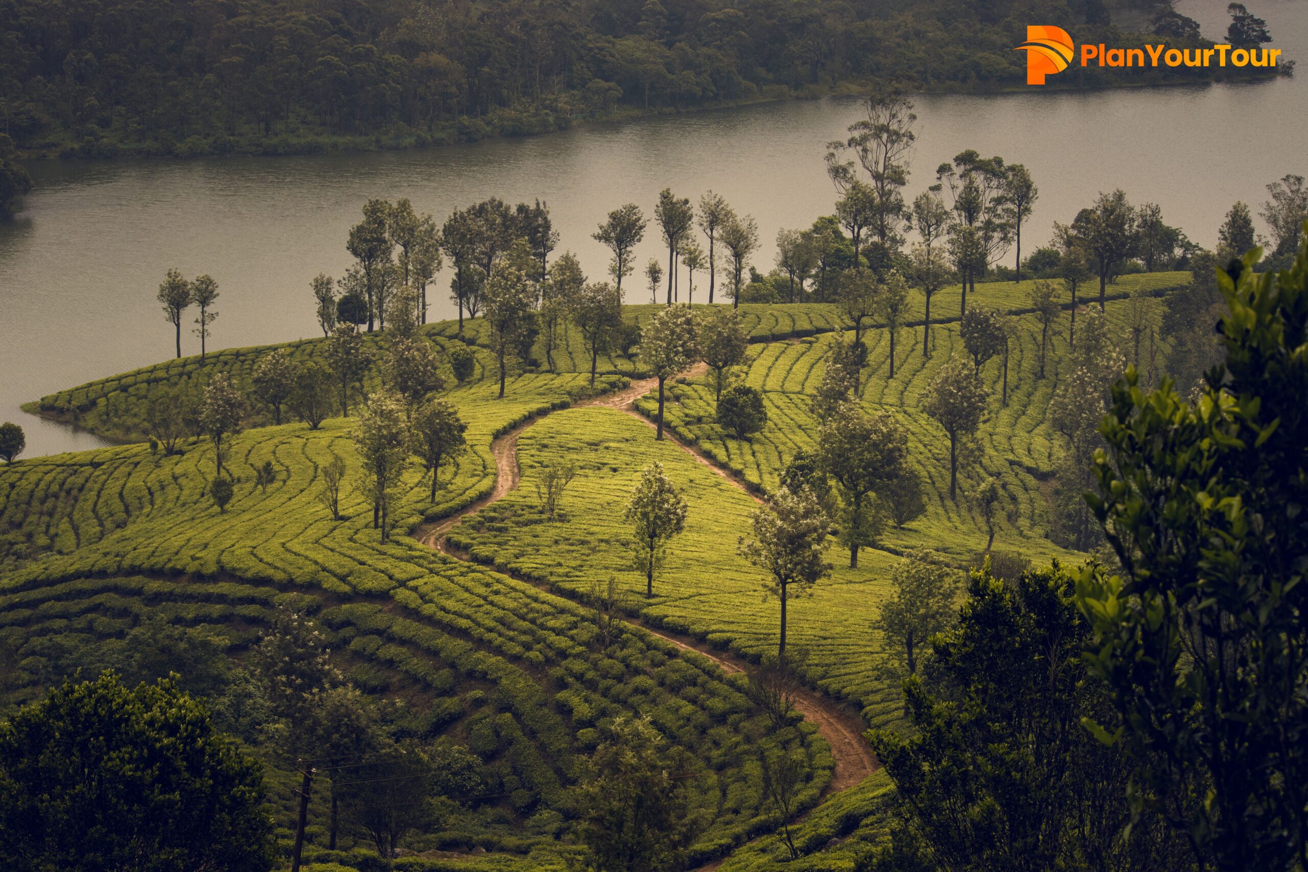 Top attractions in Munnar with scenic tea plantations and lake views