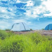 Two tents set on a hillside under a clear blue sky, showcasing a serene camping scene in Wayanad.