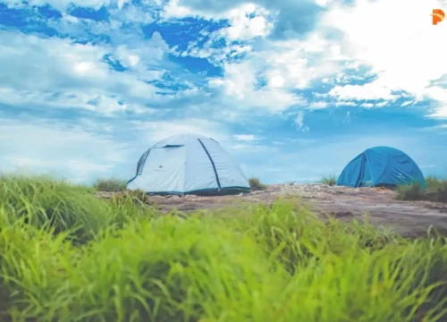 Camping in Wayanad: Best Camps, Camp Stays & Camping Places