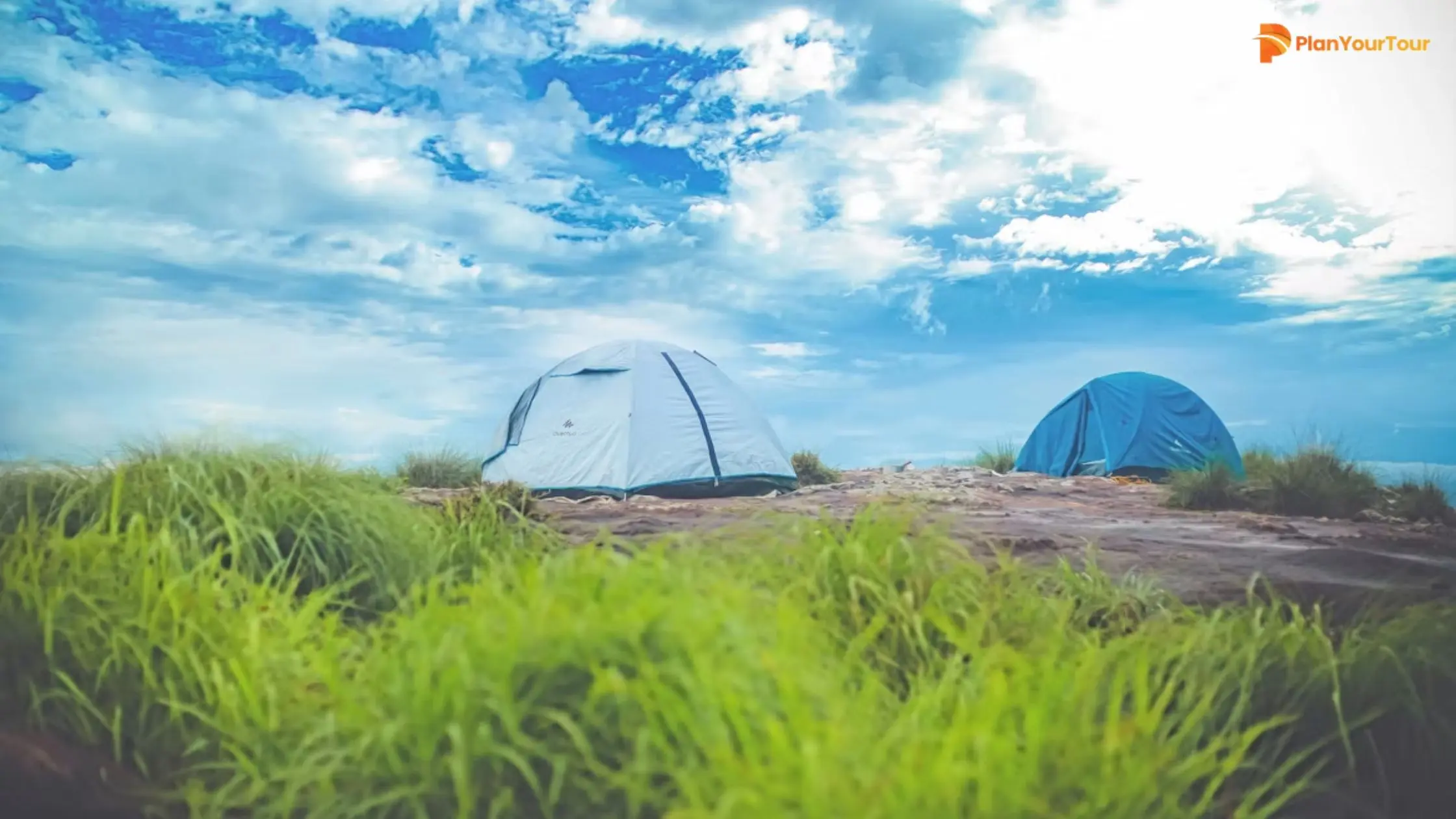 Two tents set on a hillside under a clear blue sky, showcasing a serene camping scene in Wayanad.