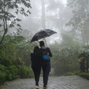 Snowfall in Munnar Does It Snow in Munnar, Kerala & South India